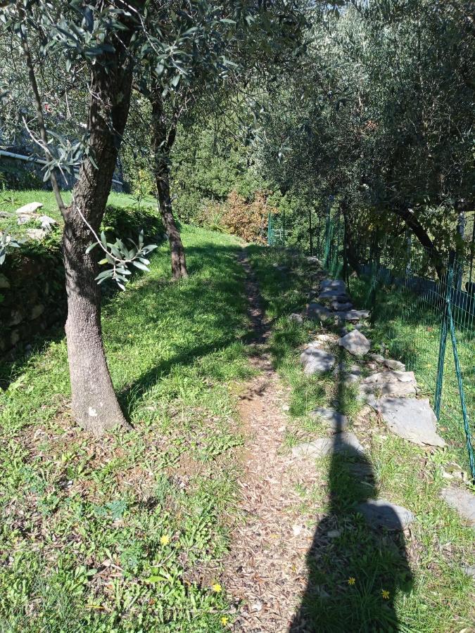 Ferienwohnung Le Vigne Di Lenf Porto Venere Exterior foto